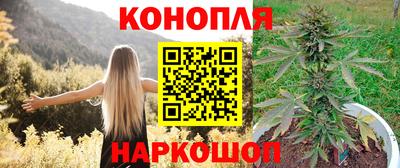 PSILOCYBIN Моздок