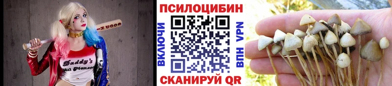 блэк спрут tor где купить Шебекино Галлюциногенные грибы мухоморы