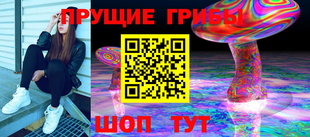 Псилоцибиновые грибы GOLDEN TEACHER Шебекино