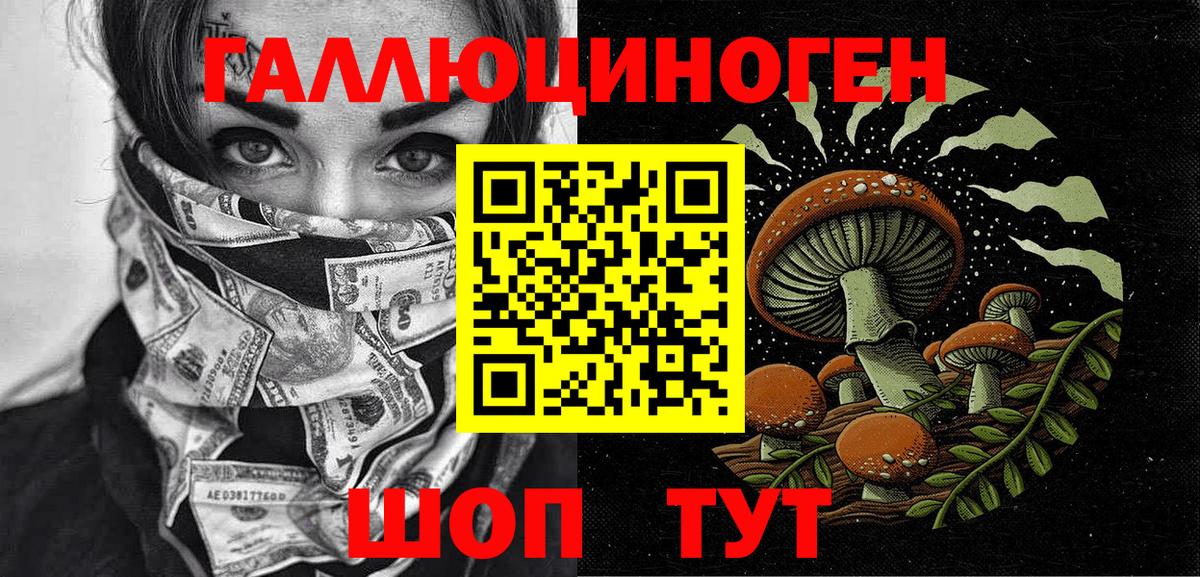 Шебекино  Галлюциногенные грибы MAGIC MUSHROOMS  закладка  Вход с VPN 