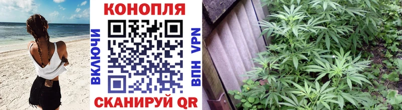 МАРИХУАНА OG Kush  как найти закладки  Шебекино 